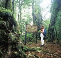 Tooloona Creek circuit - Nambucca Heads Accommodation