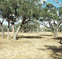 Forest Den National Park - Nambucca Heads Accommodation