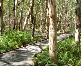 The Kommo Toera Trail - Nambucca Heads Accommodation 0