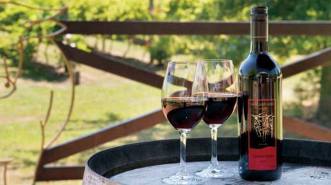 Wild Cattle Creek Estate Winery Restaurant - Nambucca Heads Accommodation 4