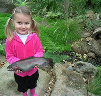Wild Food Farm  Cafe - Nambucca Heads Accommodation