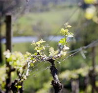 Downing Estate - Nambucca Heads Accommodation