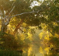 Brimbank Park - Nambucca Heads Accommodation