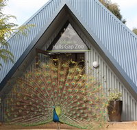 Halls Gap Zoo - Nambucca Heads Accommodation