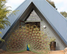 Halls Gap Zoo - Nambucca Heads Accommodation 0