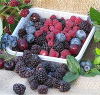 Bright Berry Farms - Nambucca Heads Accommodation