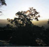 Yarra Flats - Nambucca Heads Accommodation