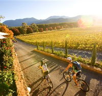 Boyntons Feathertop Winery - Nambucca Heads Accommodation