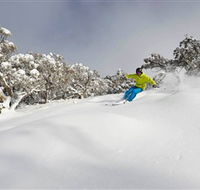 Mt Buller and Mt Stirling Alpine Resort - Nambucca Heads Accommodation