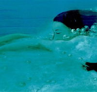 Muse - Nambucca Heads Accommodation