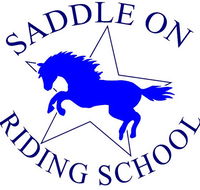 Saddle On Riding School - Nambucca Heads Accommodation