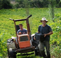 Kellybrook Winery  Kelly Brothers Cider - Nambucca Heads Accommodation