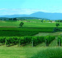 Acacia Ridge Vineyard - Nambucca Heads Accommodation