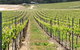 M Chapoutier Australia - thumb 0