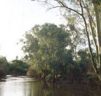 Banksia Park - Nambucca Heads Accommodation