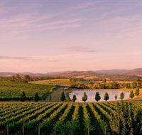 Oakridge Wines - Nambucca Heads Accommodation