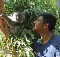 Healesville Sanctuary - Nambucca Heads Accommodation