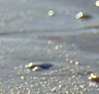 Cape Liptrap Coastal Park - Nambucca Heads Accommodation