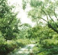 Holey Plains State Park - Nambucca Heads Accommodation