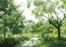 Holey Plains State Park - Nambucca Heads Accommodation 0