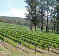 Piedmont Vineyard - Nambucca Heads Accommodation