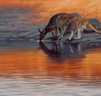 Steve Morvell Wildlife Art - Nambucca Heads Accommodation