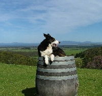 Windy Ridge Vineyard and Winery - Nambucca Heads Accommodation
