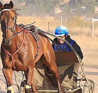 Ballarat  District Trotting Club - Nambucca Heads Accommodation