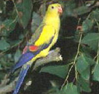 Lake Hindmarsh Reserve - Nambucca Heads Accommodation