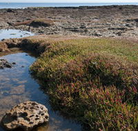 Ricketts Point Marine Sanctuary - Nambucca Heads Accommodation