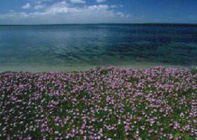 Giffard VIC Nambucca Heads Accommodation