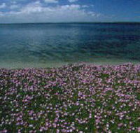 The Lakes National Park - Nambucca Heads Accommodation