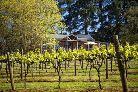 Main Ridge Estate - Nambucca Heads Accommodation 3