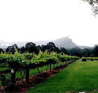 Cambewarra Estate Wines - Nambucca Heads Accommodation