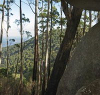 Gulaga National Park - Nambucca Heads Accommodation