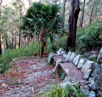 Wodi Wodi Walking Track - Nambucca Heads Accommodation