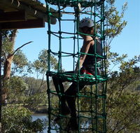 Trees Adventure Shoalhaven - Nambucca Heads Accommodation