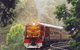 Cockatoo Run - Scenic Tour Train Operated By 3801 Limited - thumb 0