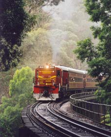 Cockatoo Run - Scenic Tour Train Operated By 3801 Limited - Nambucca Heads Accommodation 0