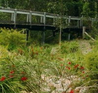 Eurobodalla Botanic Gardens - Nambucca Heads Accommodation