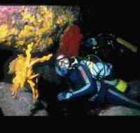 Solitary Islands Marine Park - Nambucca Heads Accommodation