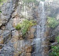 Wedding Bells Forest Drive - Nambucca Heads Accommodation
