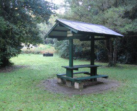 Pine Creek State Forest - Nambucca Heads Accommodation 0