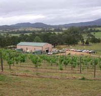 Villa d Esta Vineyard - Nambucca Heads Accommodation