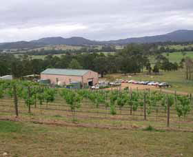Villa D Esta Vineyard - Nambucca Heads Accommodation 0