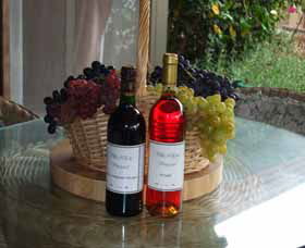 Villa D Esta Vineyard - Nambucca Heads Accommodation 2