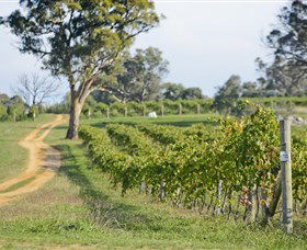 Shaw Vineyard Estate - Nambucca Heads Accommodation 1