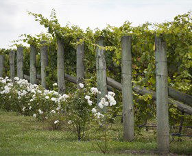 Lambert Vineyards Cellar Door - Nambucca Heads Accommodation 2
