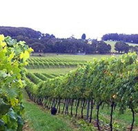 Banjo's Run Winery and Vineyard - Nambucca Heads Accommodation