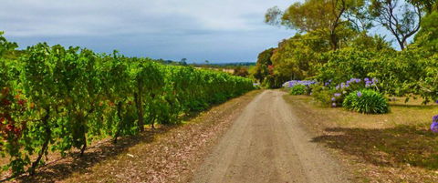Merricks Estate - Nambucca Heads Accommodation 1